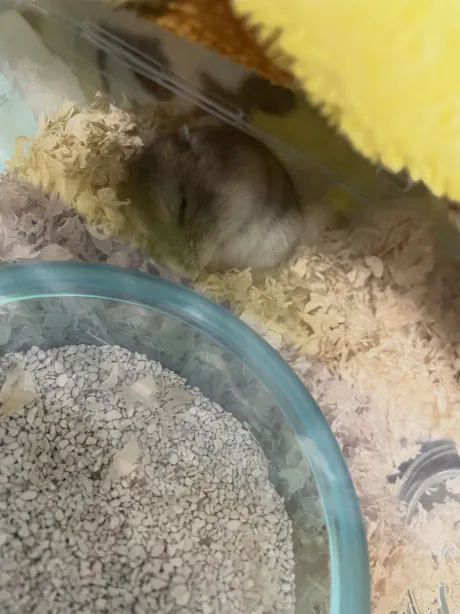 昨日のお礼💌/ななみ【弘前黒石】