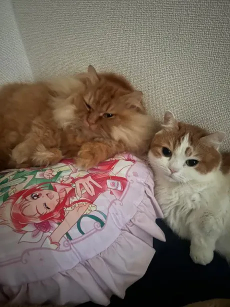 渚　カヲルのブログ ずっぷり♡