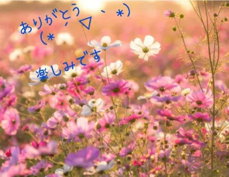 ゆきえおばさんの店