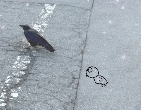 ももこです(^з^)（いんちき）カラスちゃん野生のカラスさまに遭遇の巻/ももこ