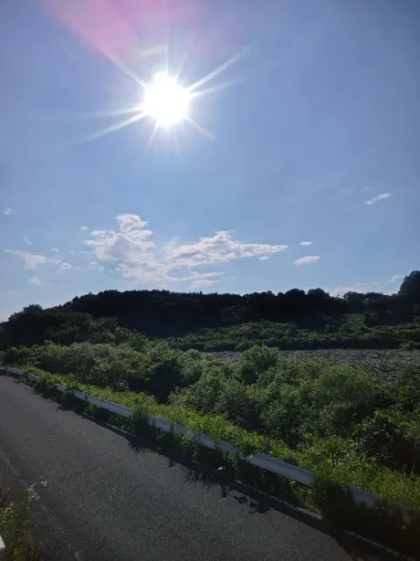 ルイ人妻生レンタルーNTRー