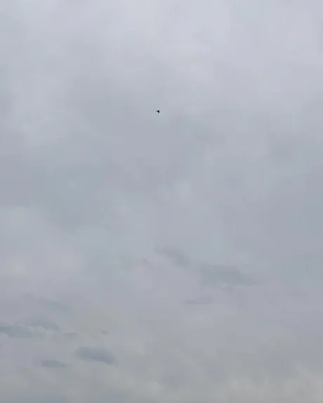 おはようございます︎︎☁️