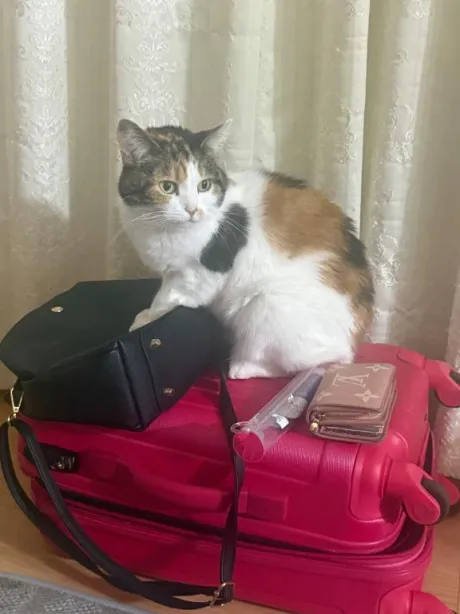 最近思うこと。/ゆり