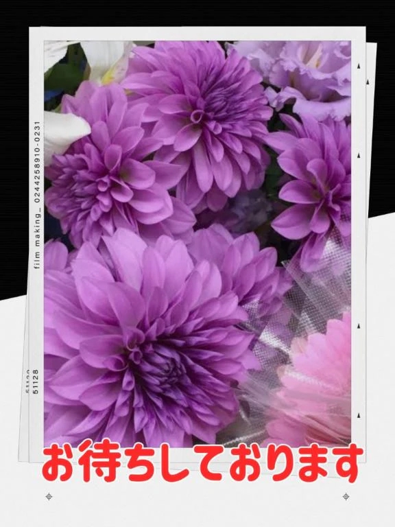 本日の空き枠❤️ラスト1枠