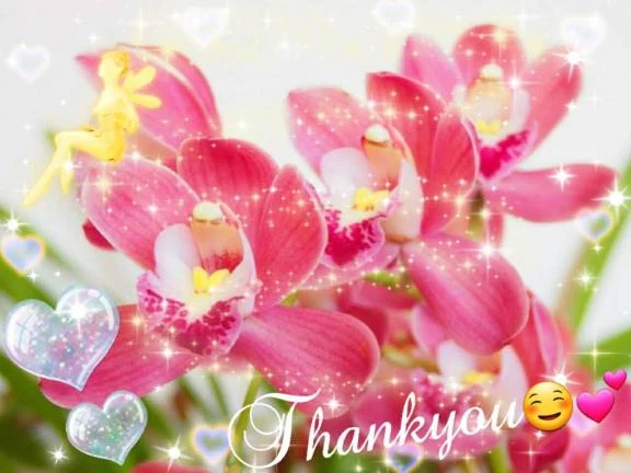 12/13(土)のお礼です💝🙇♀️