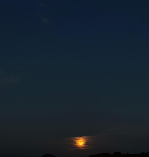 ふぁんたじーを、生きる。