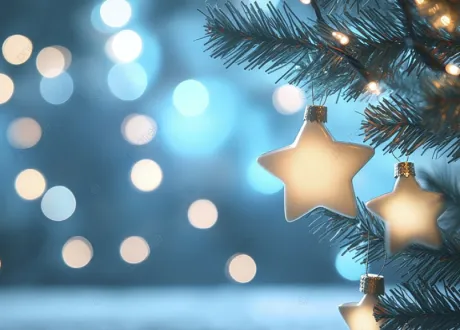 おやすみなさい🌙/さな【弘前黒石大釈迦】