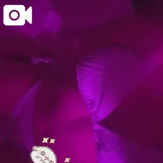 ＮＥＷエムMadonna-マドンナ-
