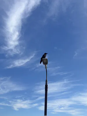一瞬、