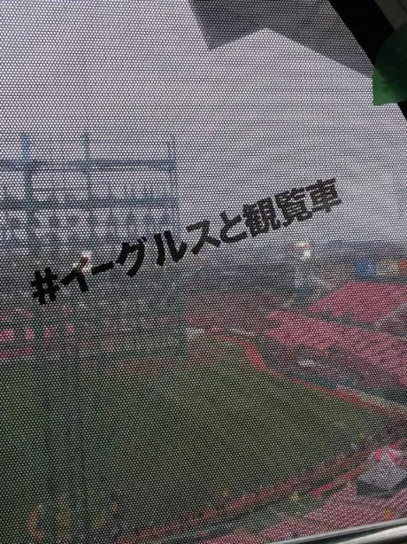 野球繋がり⚾️/フミカ