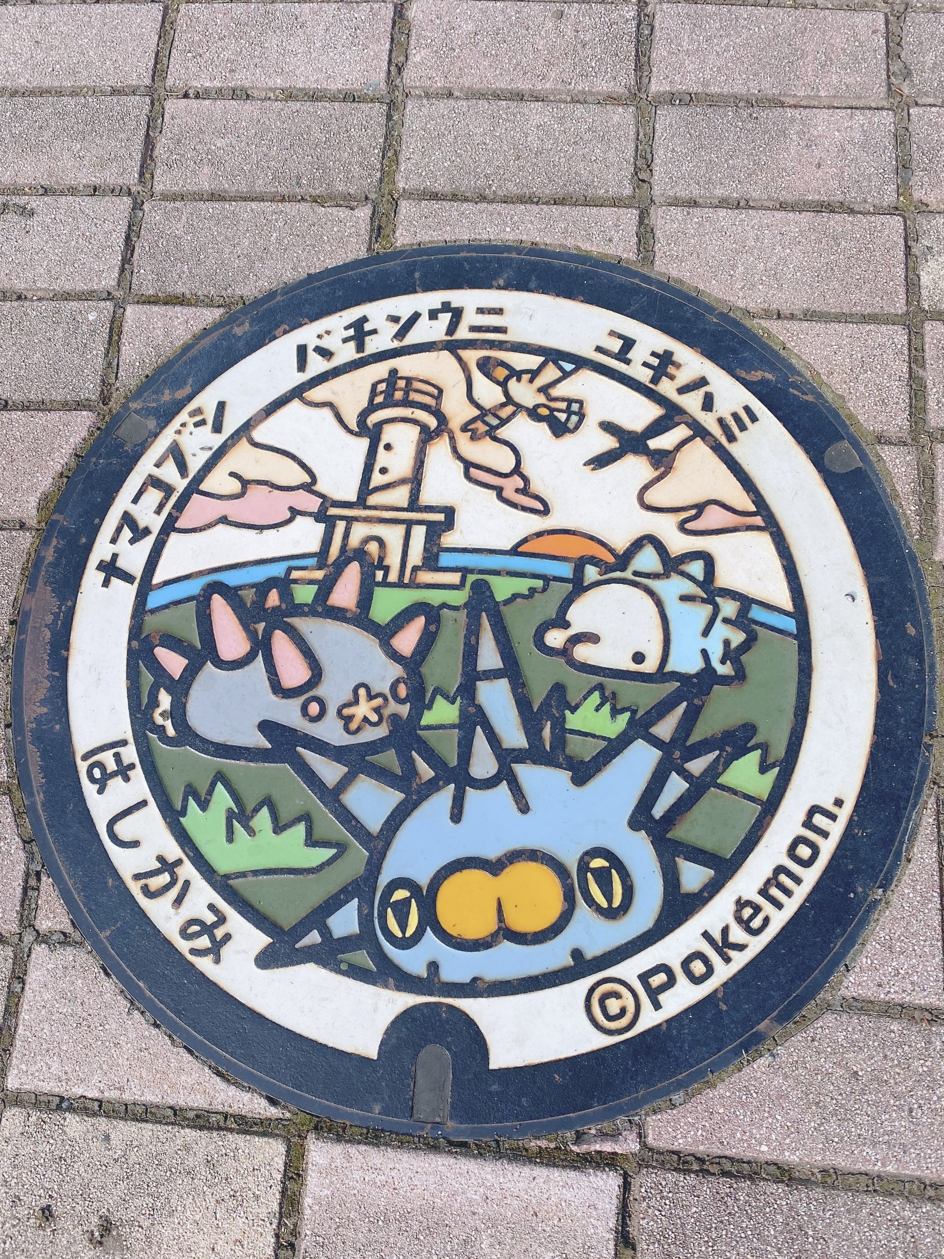 お休みします🙏