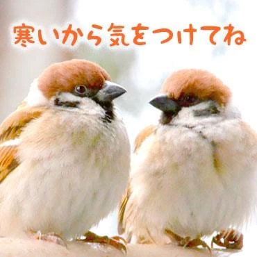 寒いね🥶