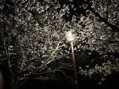 出勤日と時間🍵🍓/なぎさ