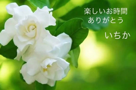 10月19日の感謝