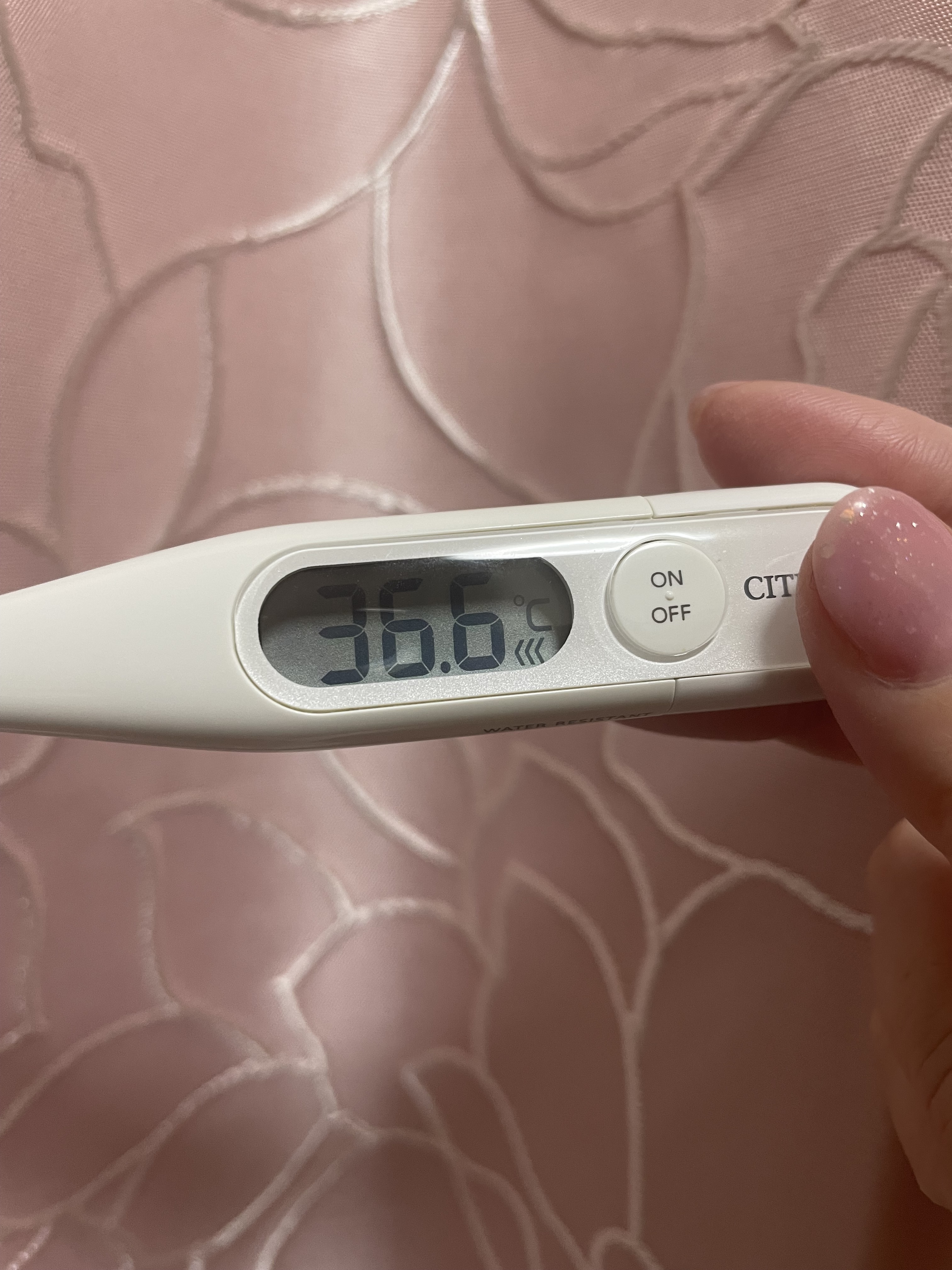 体調バッチリ/もえ【青森大釈迦】