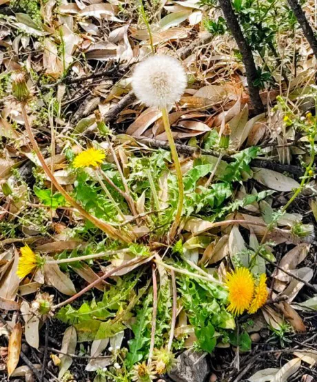 まさみ　奥様SUTEKIな奥様は好きですか？