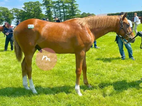 みいのブログ 🐴馬っ気💋
