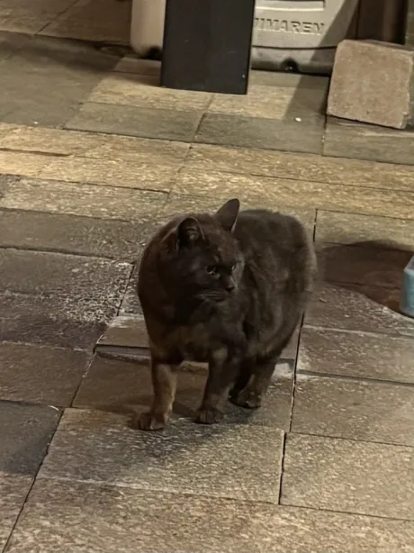 ルア【EDENコース】青森・弘前出勤のブログ ❔❔