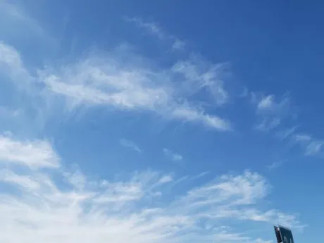 おはようございます。/高山（たかやま）
