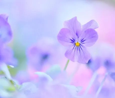 おはようございます/ゆりか