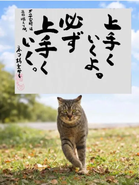 おはようございます♡