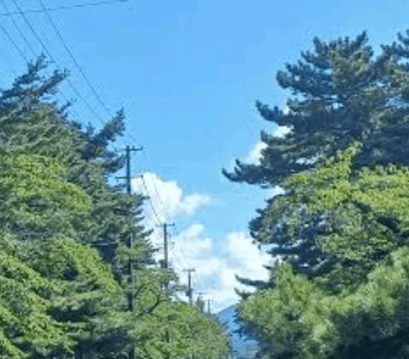 ★まみ★極上熟女店長激押し！隣の人妻お口で愛して