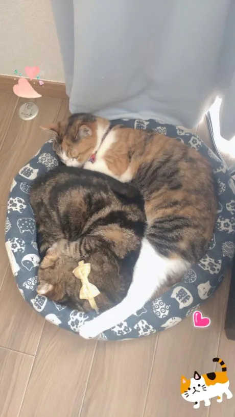 愛でる♪