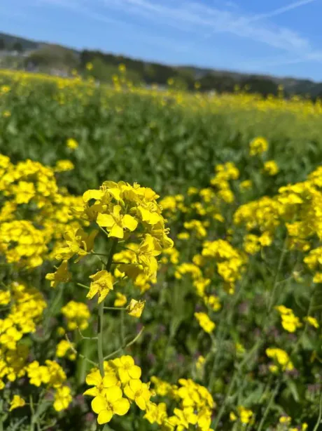 こんにちは☀️