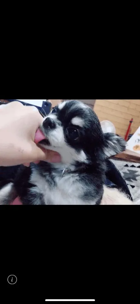 るあDeliysCure仙台