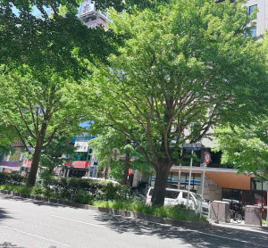 05/31 12:21ゆきな 奥様