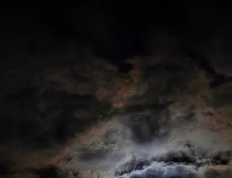 ⊂(ᴑ╹.╹ᴑ)੭💌/セレナ