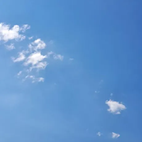 いつき奥様メモリアル