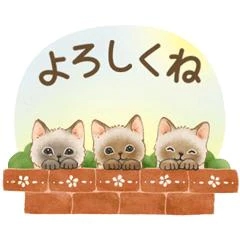 おはようございます😊