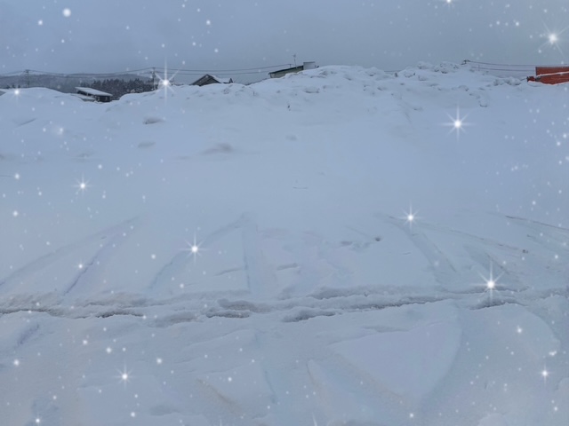 ももこです(^з^)ゆきぐに