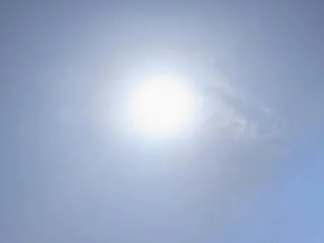 出勤しました/タエ