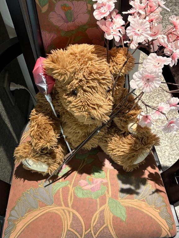 新人あず奥様メモリアル