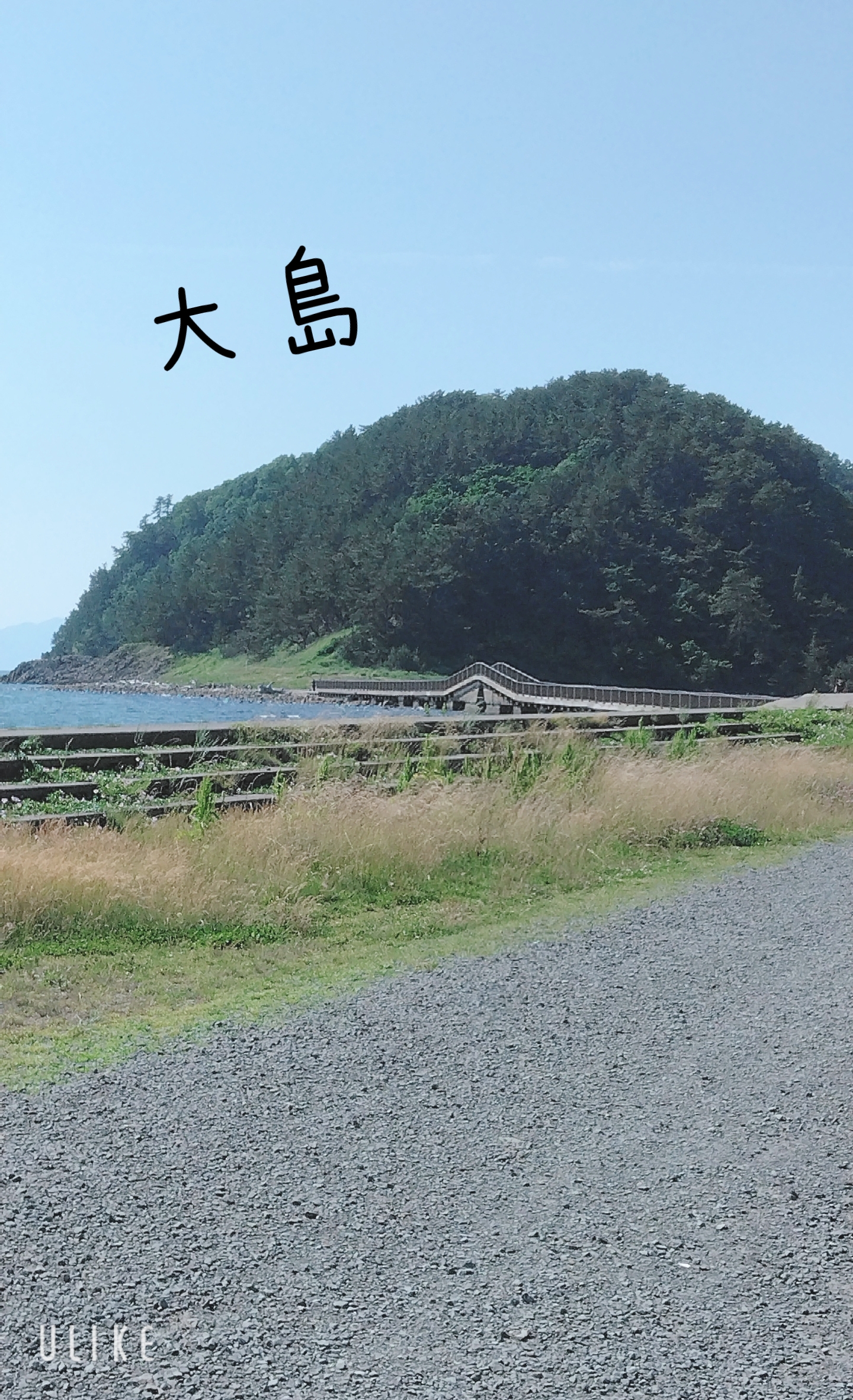 ドライブ