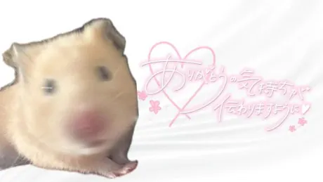 たいきんまん‪🐹/仲村（なかむら）