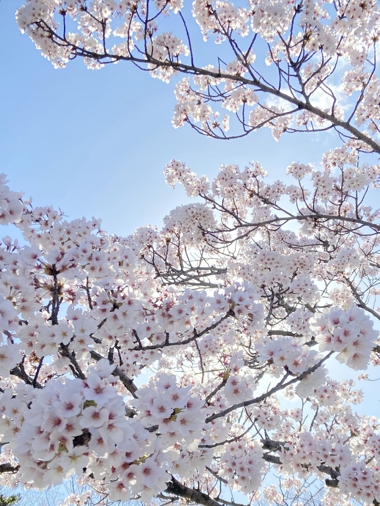 出勤 2 日目🧡/るな