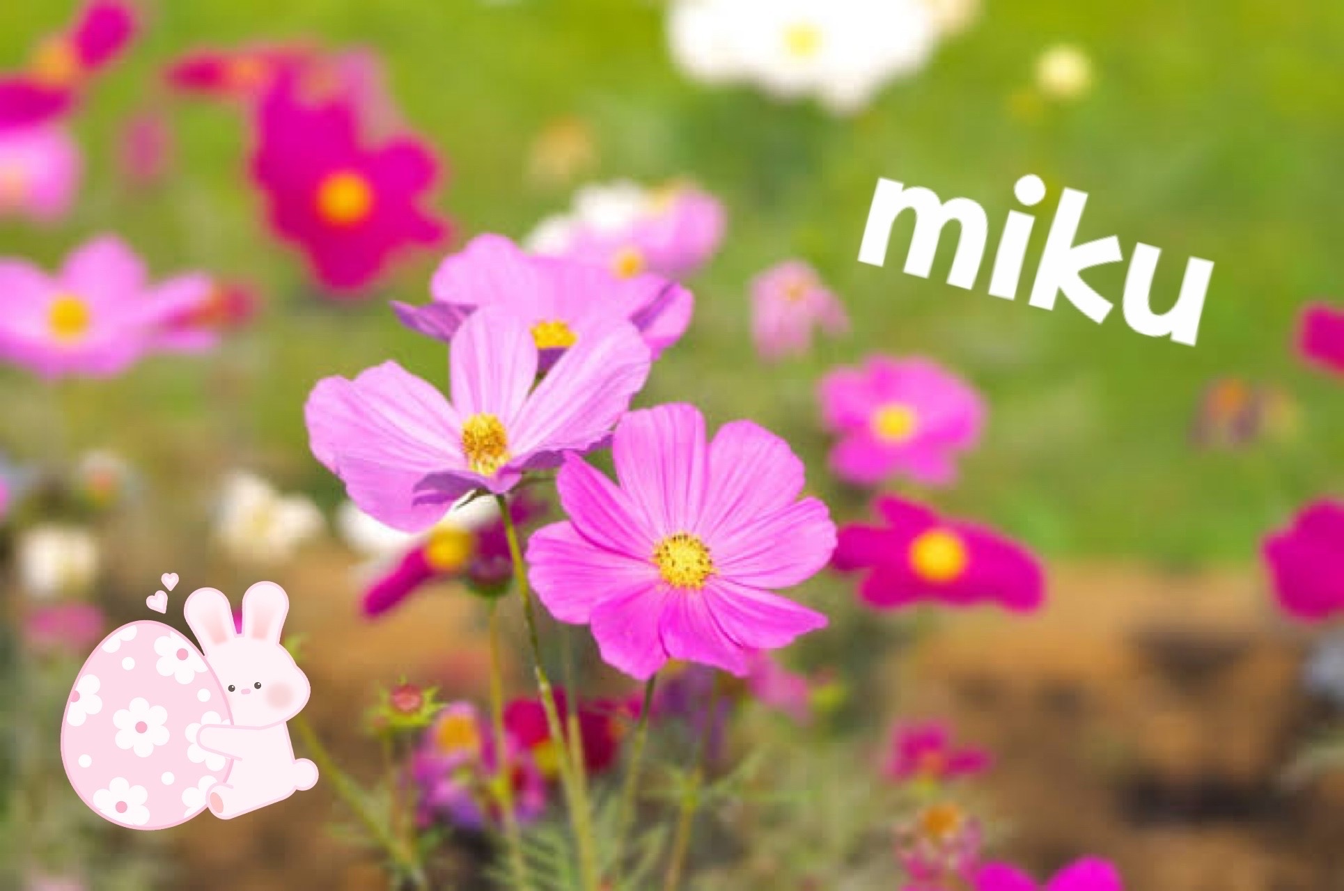 お久しぶり꒰ ྀི ∩⸝⸝∩ ꒱♥︎