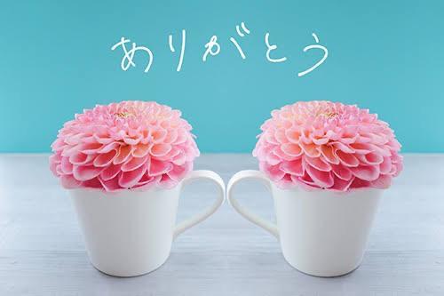 ありがとうございました✨️