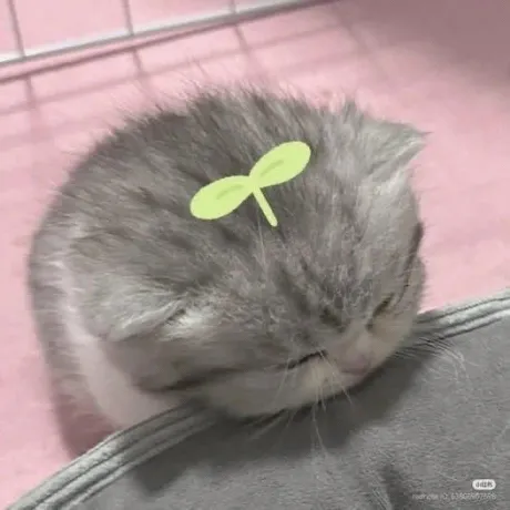 なの宮城♂風俗の神様　仙台店