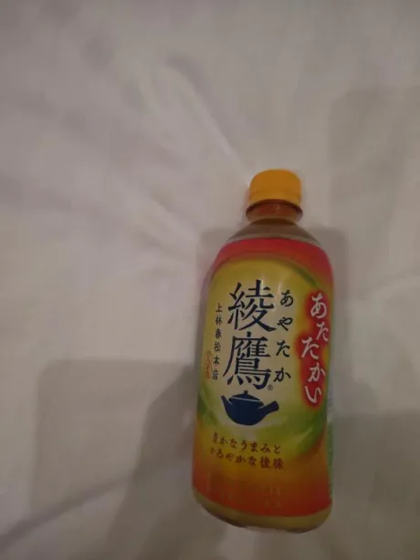 ルイ(極)人妻生レンタルーNTRー