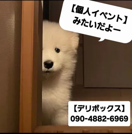 めい (魅惑のEカップ、パイパン嬢)デリボックス