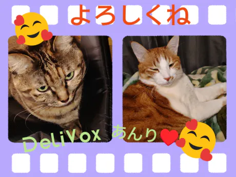 出勤しました😊