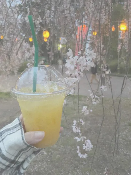 あかりエススタイルクラブ