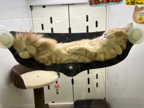 フィト感😆😆/きさき