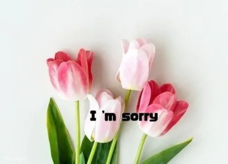 ごめんなさい∥/まりな