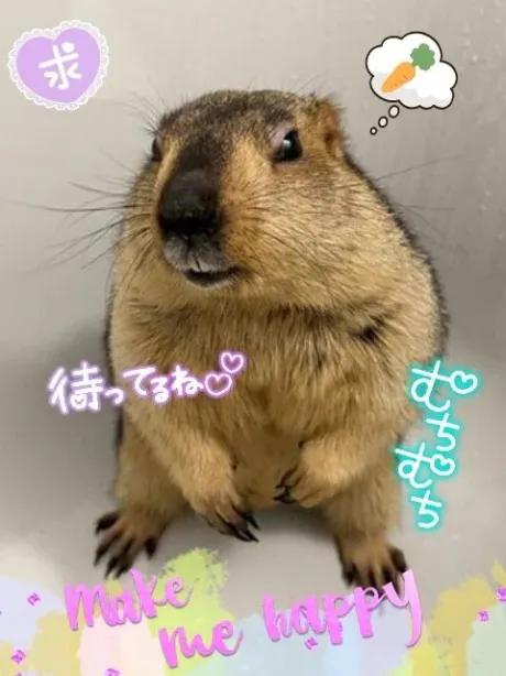 なるみおばさんの店　FC　古川店