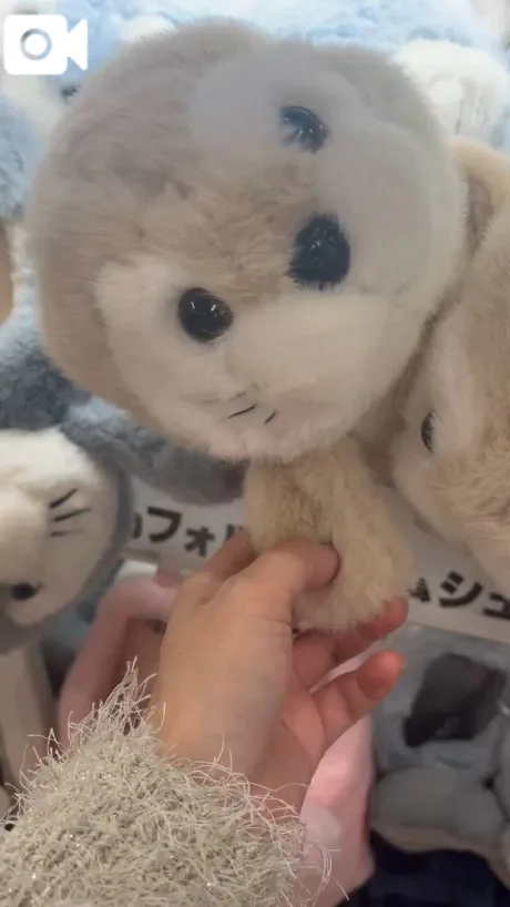 モフモフ💗/愛（あい）